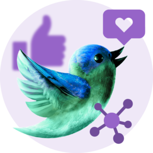 سوشال ميديا ويدو