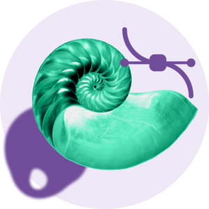 التصميم ويدو